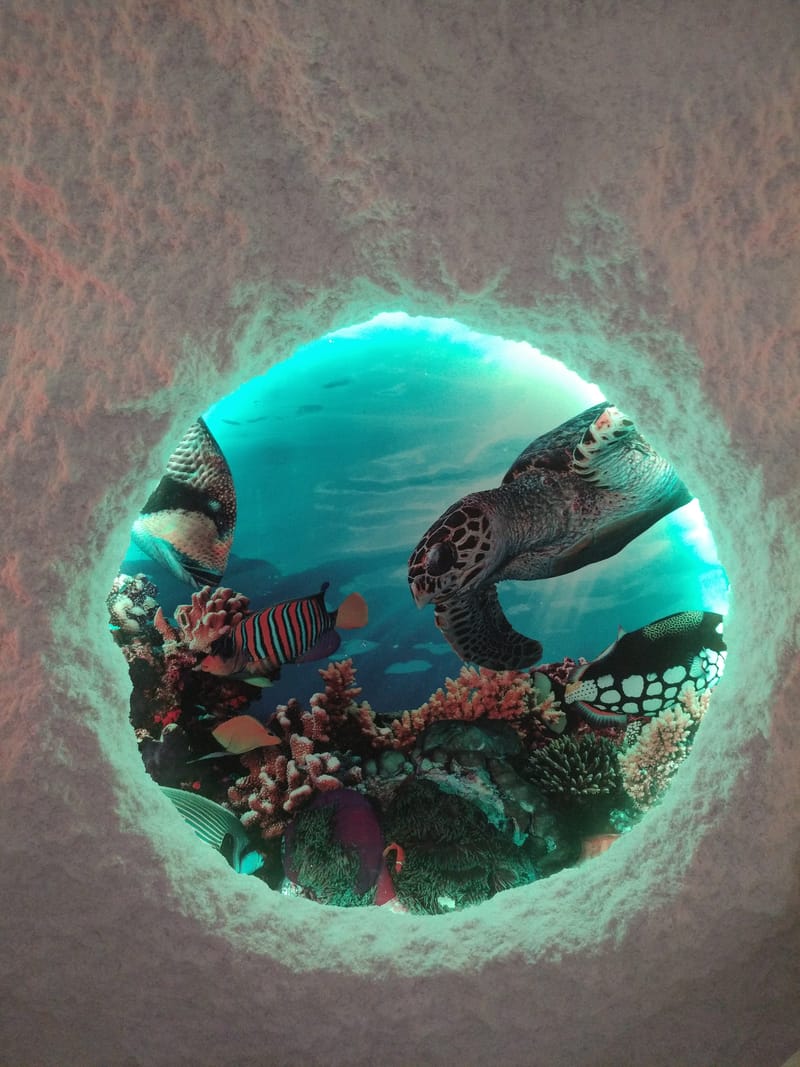 Прайс лист на наши услуги