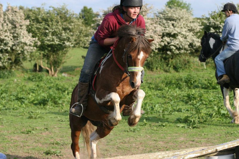 Available for Stud 'Tarquine'