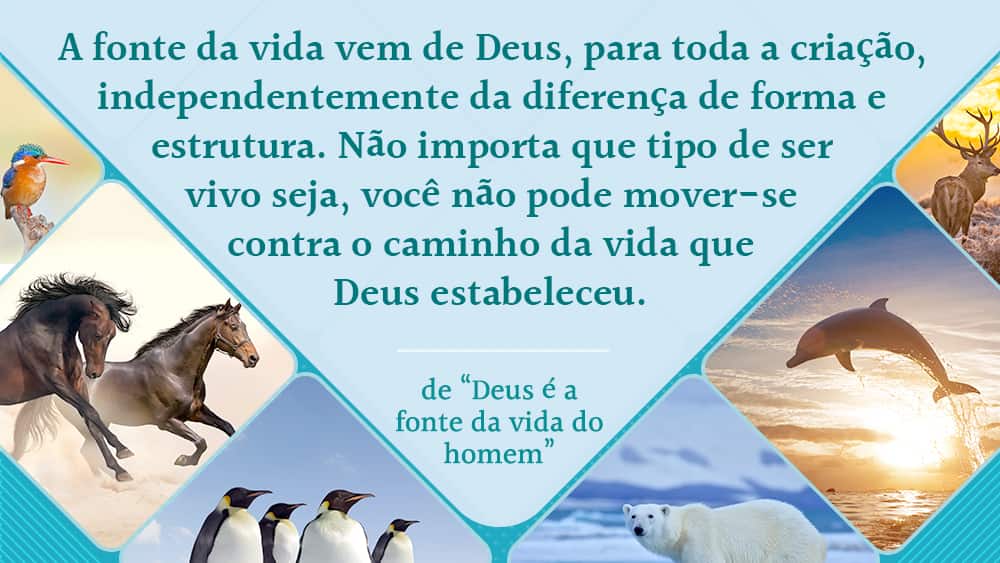 Palavras clássicas sobre Deus como fonte de vida para todas as coisas