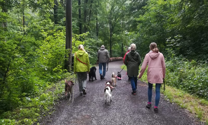 Jagdkontrolltraining & Erlebnisspaziergang