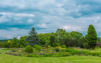 Tuam lawn care