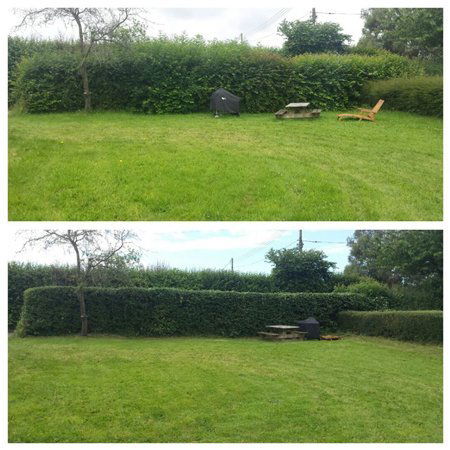 Hedge trimming