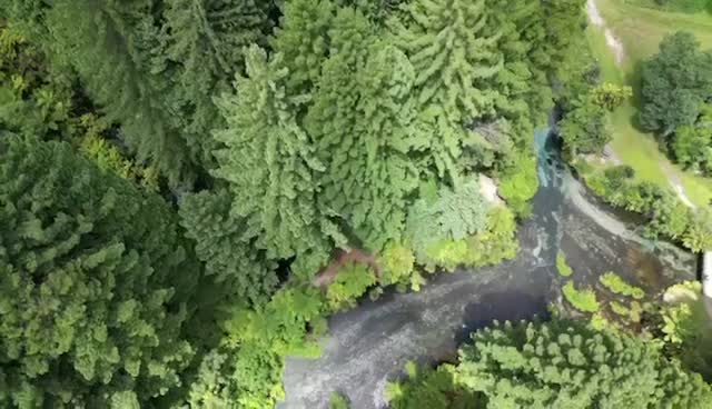 Hamurana Springs | A Magical Nature, Wildlife and Cultural Experience