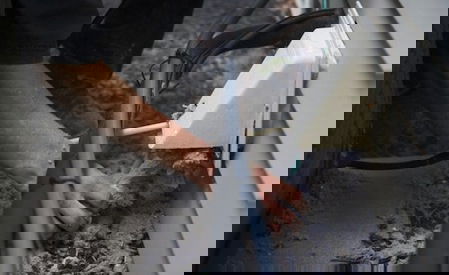 Dryer and Vent Cleaning