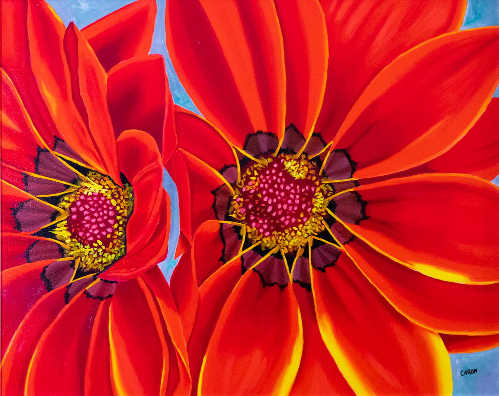 Red Gazanias