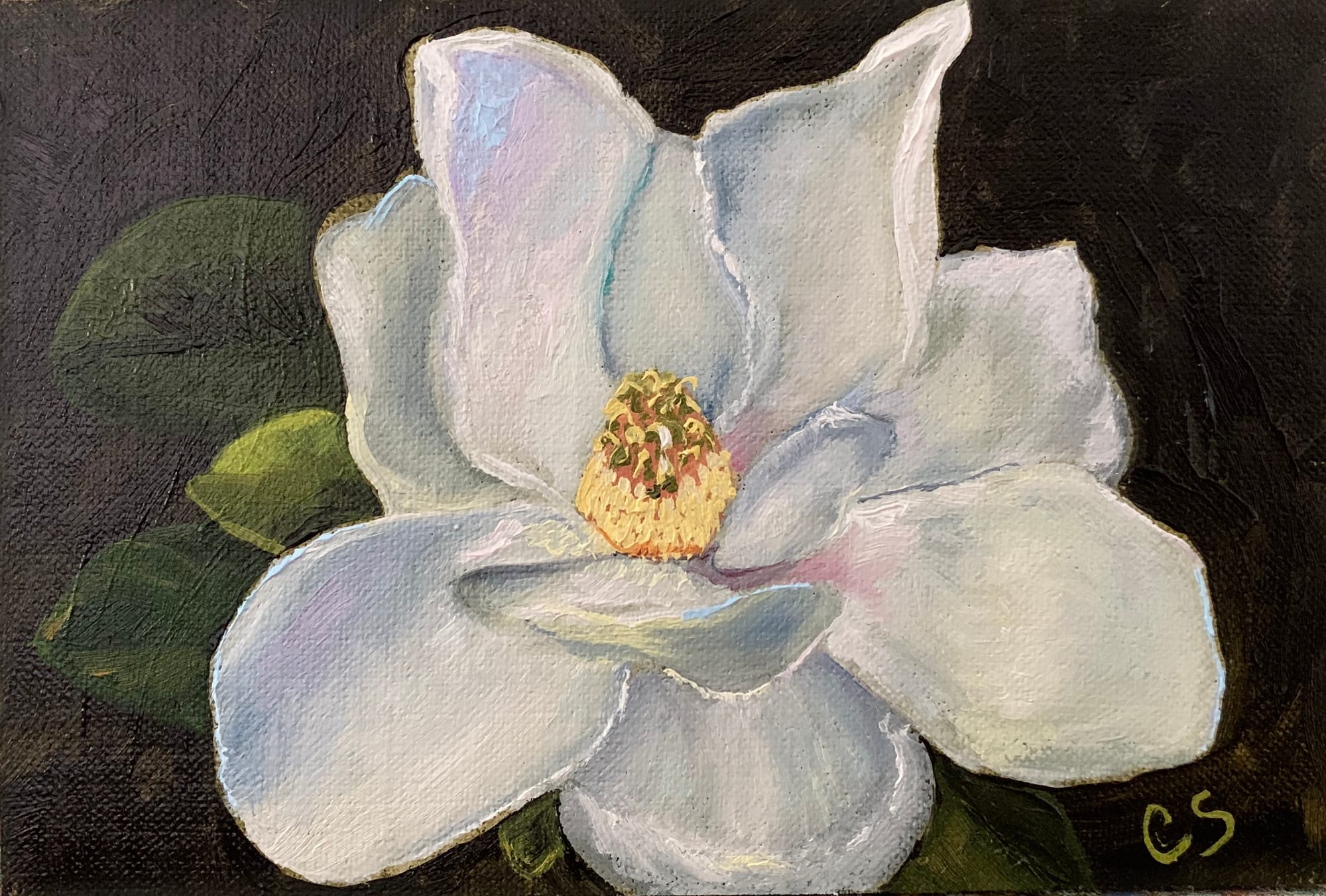 Magnolia