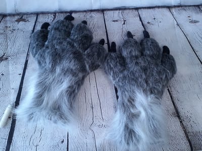 paws