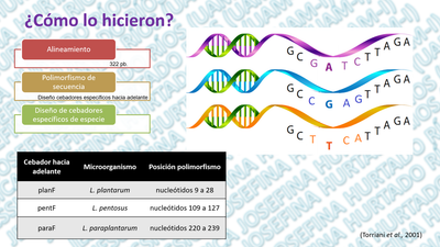 Gen recA image