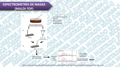Espectrometría de masas image