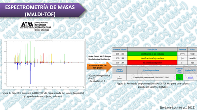 Espectrometría de masas image