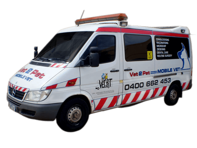 Little River vet clinic Updated 2020
