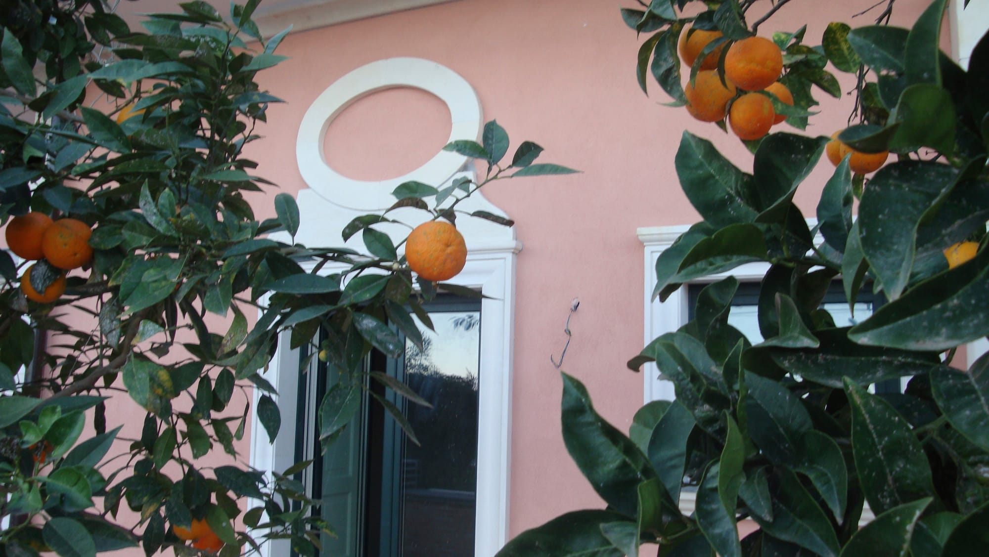 Elementi architettonici