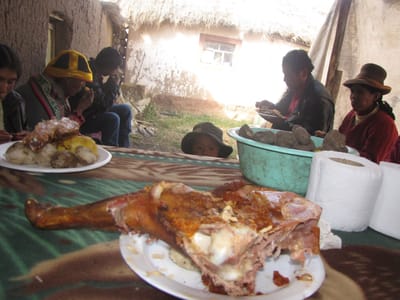 COMIDAS TIPICAS DE ESPINAR