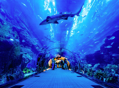 THE BEST THING YOU NEED TO DO IN DUBAI