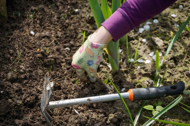 Weed Control / Weeding