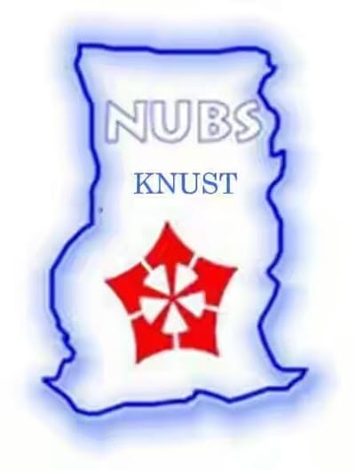 NUBS LOGO image