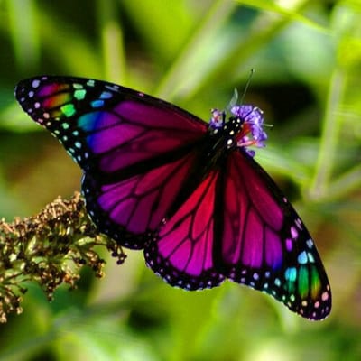 About image