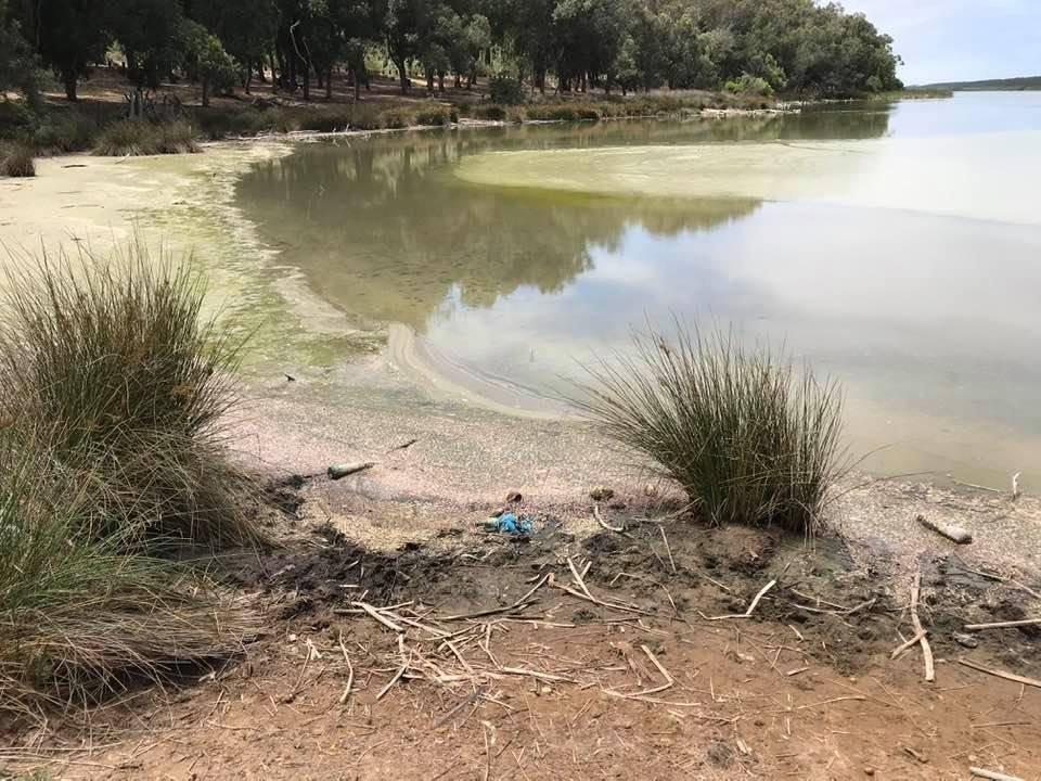 Maroc : Hécatombe chez les poissons du lac de Sidi Boughaba