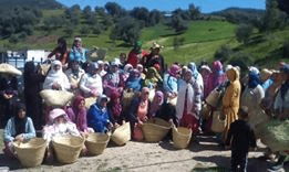 مشروع "دعم اللامركزية وتحسين الحكامة البيئية بالوسط القروي 2015