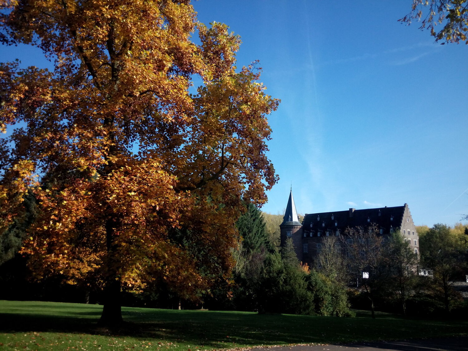 Voyage des P6 au Castel Notre-Dame