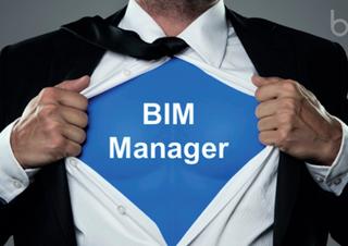 BIM MANAGER: PERFIL, FUNCIONES Y RESPONSABILIDADES