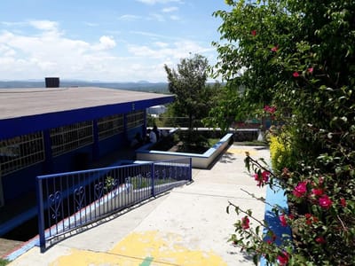 directorio image