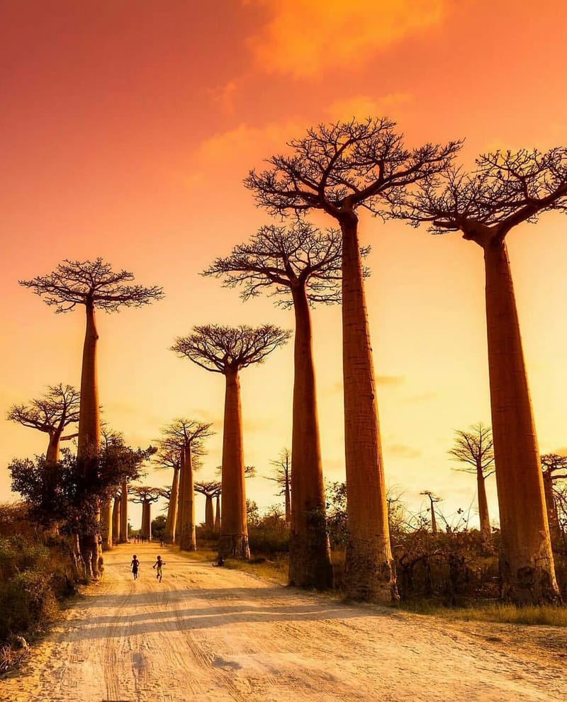 L'OUEST MALAGASY ET SES TRÉSORS