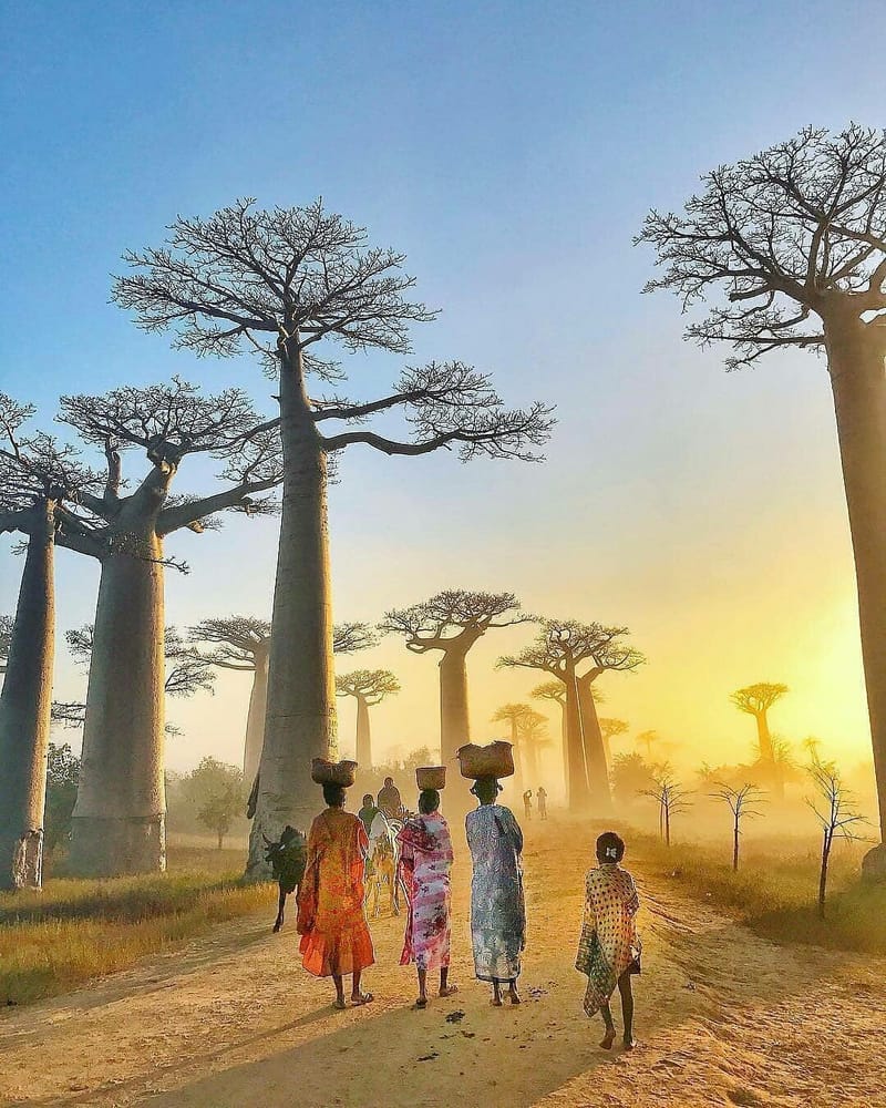 MADAGASCAR : UN PAYS AUX MULTIPLES FACETTES