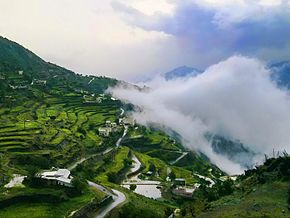 دليل الريادي "المنطقة الجنوبية"