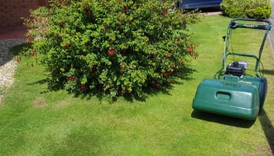 Mowing with Cylinder Mower