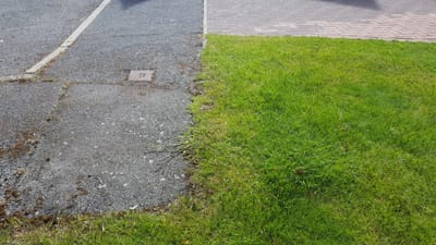 Keep The Line Between Kerb and Lawn Tidy