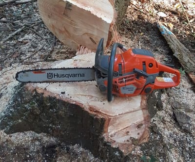 Working with a Chainsaw