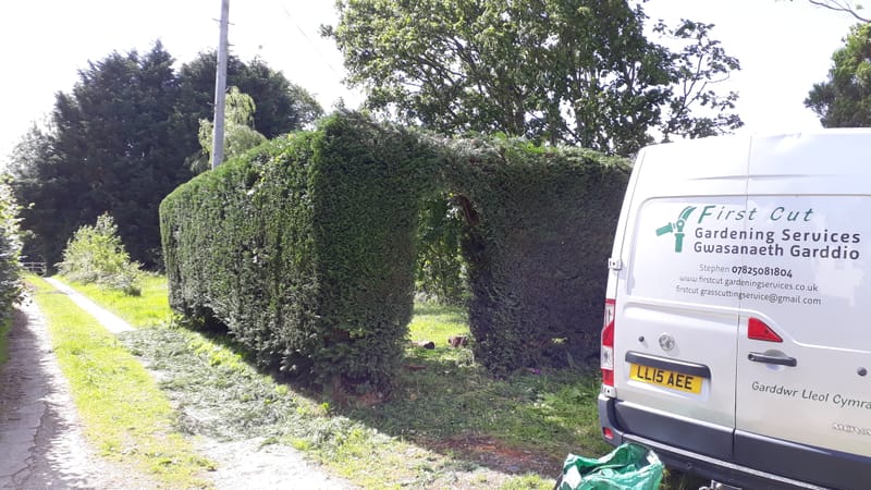 Hedge Cutting