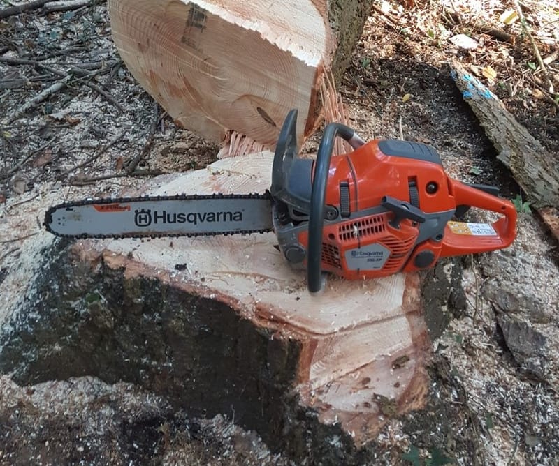 Tree Surgery and General Tree Service