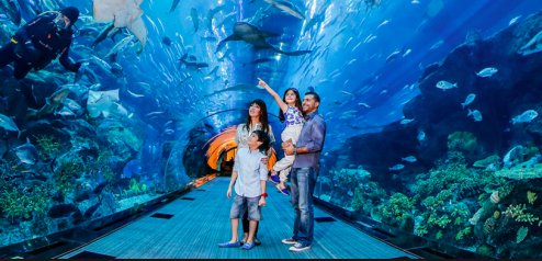 Dubai for the Entire Family