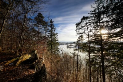מחיר חשיפה לזמן מוגבל טיפול אנטיאיג׳ינג