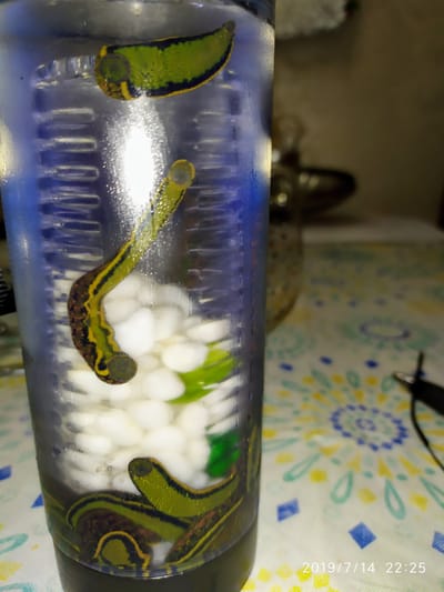 טיפול אנטיאייג׳ינג