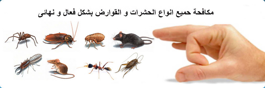 افضل طرق مكافحة حشرات