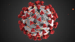 Living in the Wake of the Pandemic