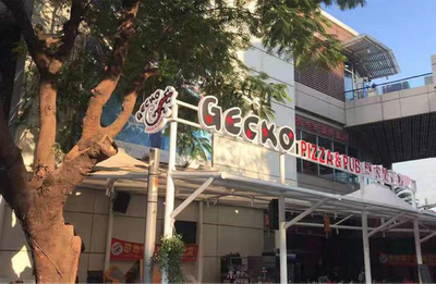New Shenzhen Pub Review: Gecko
