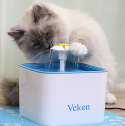 Why Do Pets Need A Water Fountain?