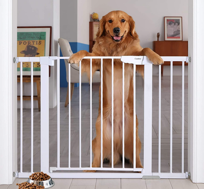 Important Reasons to Get A Dog Gate