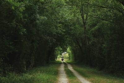 אודותינו image