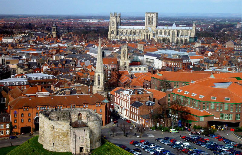 دانشگاه یورک