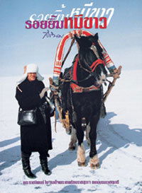 รอยยิ้มหมีขาว