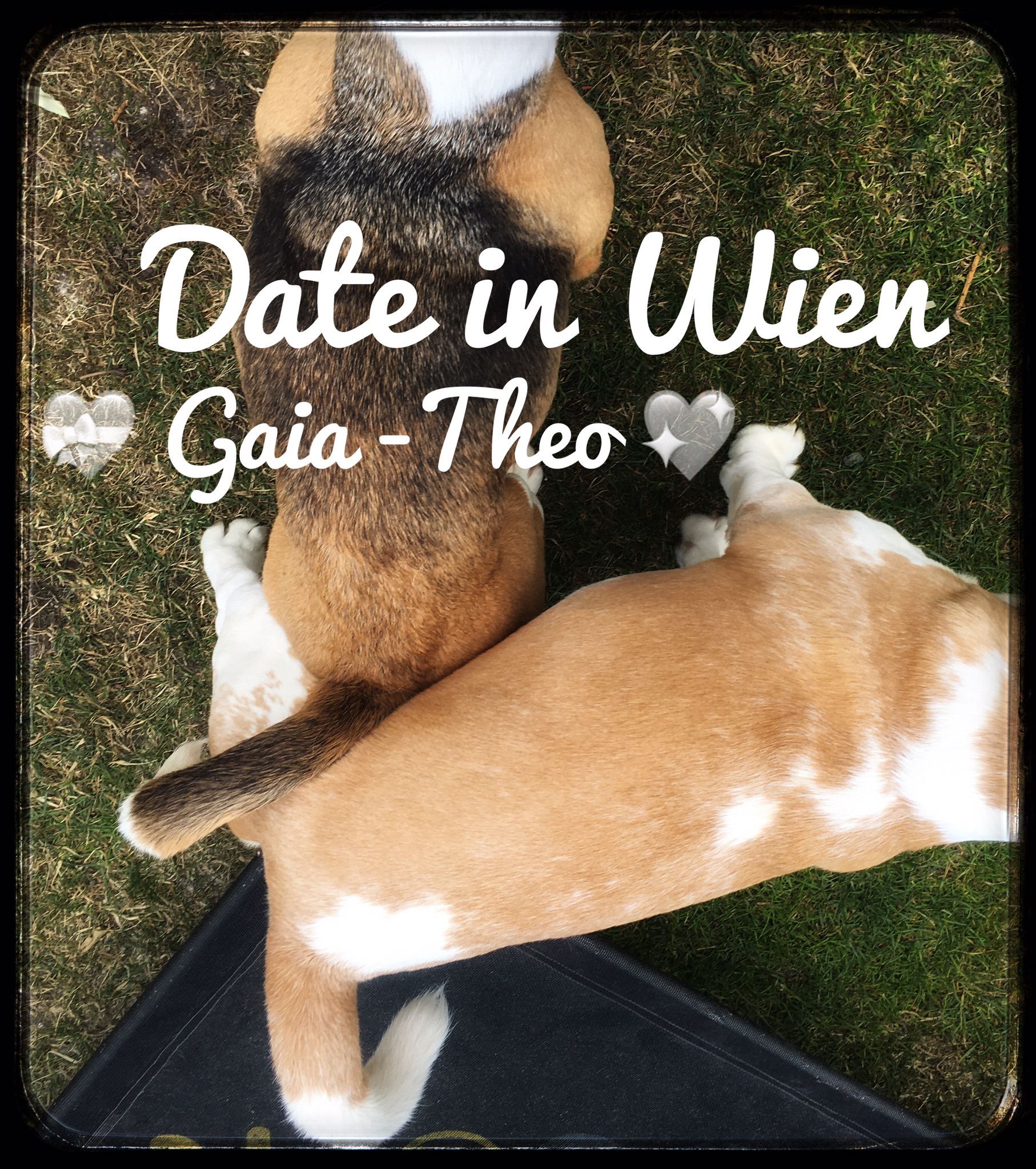 Gaia wurde gedeckt