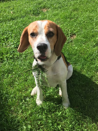 Schweissprüfung TKJ 500m Bestanden!