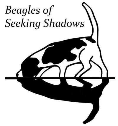 Beagles of Seeking Shadows