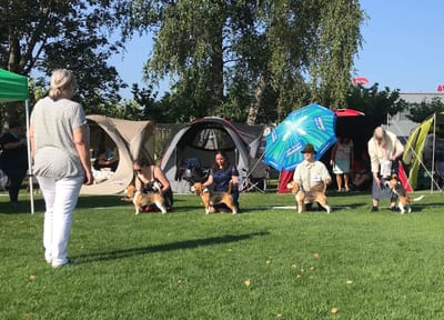 IHA Kreuzlingen 2019