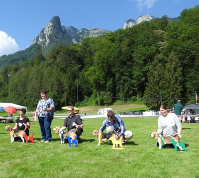 Beagleclub Clubsiegerschau 2019 Rüthi (SG)
